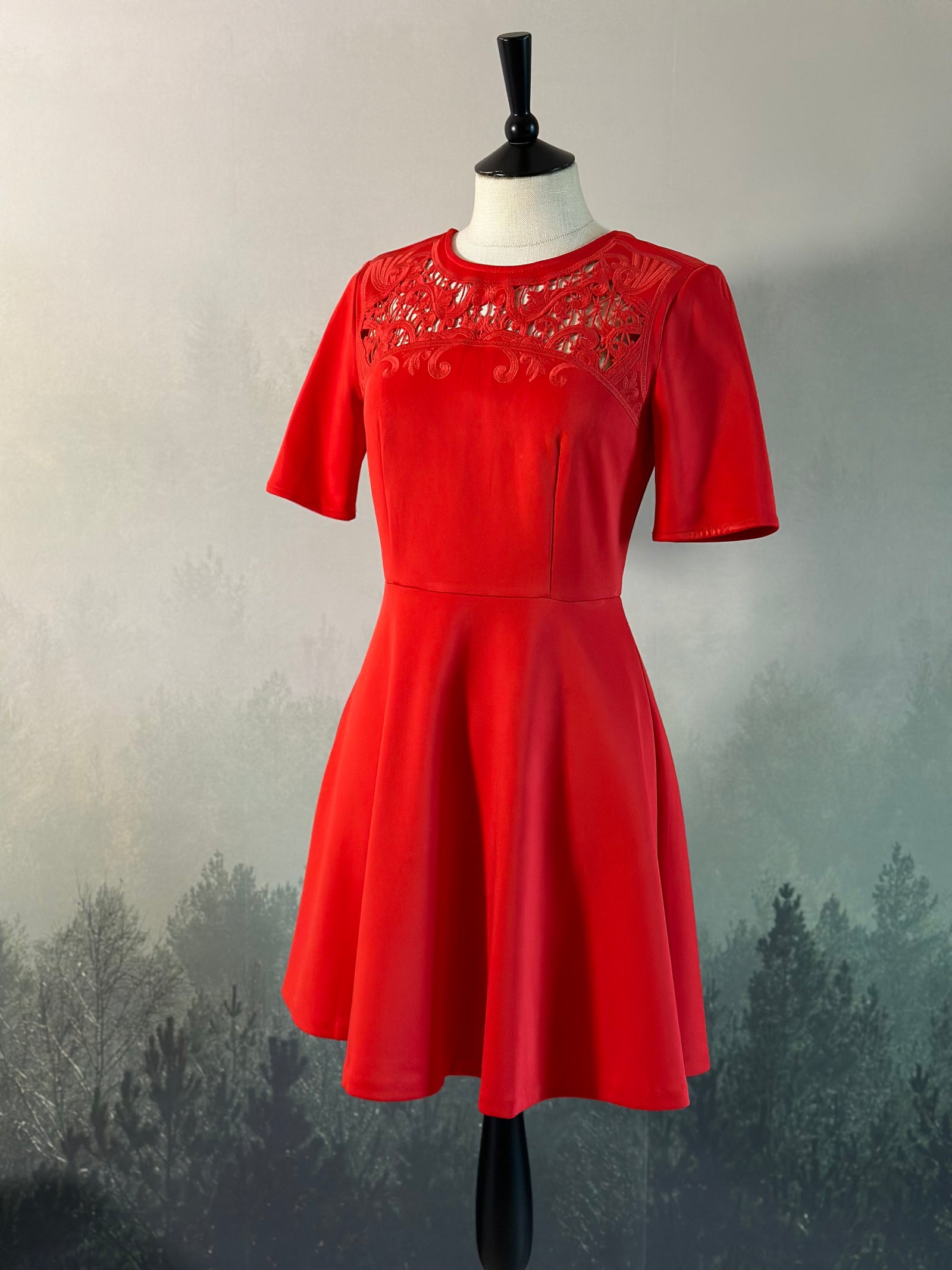 Jurk Rood Vintage S (alleen online)