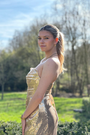 Glitz Dress - Gold Sequin